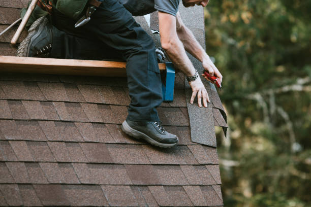 Roof Gutter Cleaning in Walnut, CA
